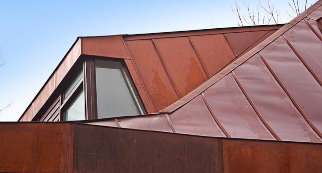 Forest metal roofing
